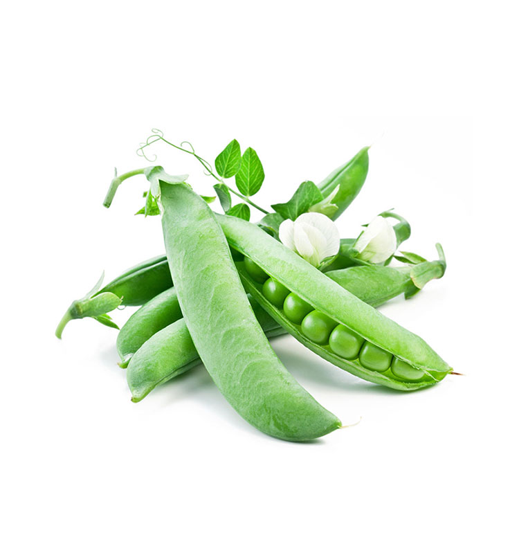 Fresh pea